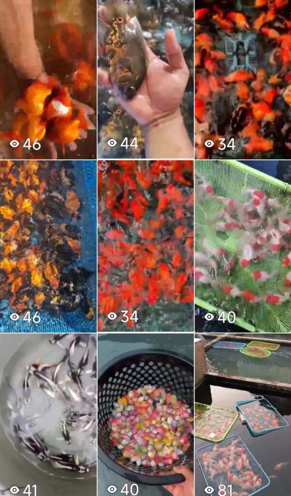 whatsapp image 2025 12 15 at 10.28.44