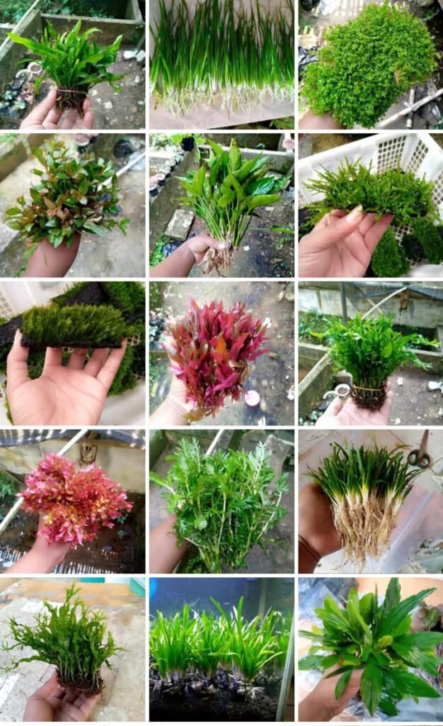 whatsapp image 2025 12 15 at 10.29.22