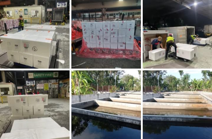 Our Services whatsapp image 2025 12 15 at 10.29.37