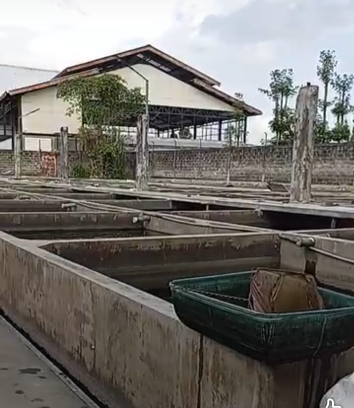 whatsapp image 2025 12 15 at 10.30.40