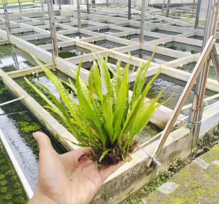 whatsapp image 2025 12 15 at 10.41.58