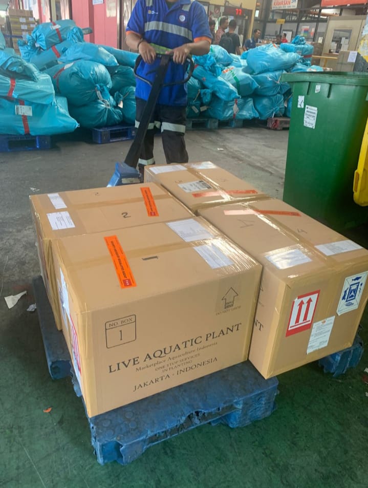 Our Services whatsapp image 2025 12 15 at 12.23.06