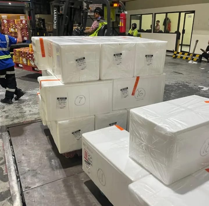 Our Services whatsapp image 2025 12 15 at 13.01.16